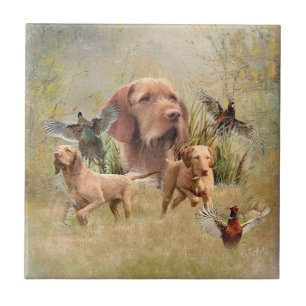 Das ungarische Drahthaar Vizsla Fliese