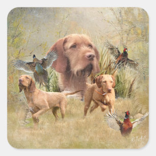 Das ungarische Drahthaar Vizsla Quadratischer Aufkleber