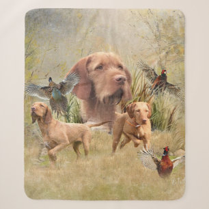 Das ungarische Drahthaar Vizsla Sherpadecke