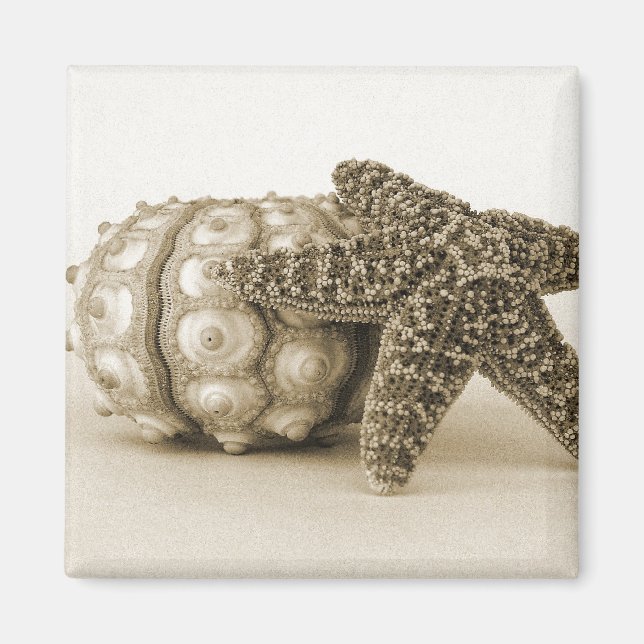 Das ungerade Paar Magnet (Vorne)