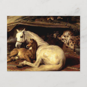 Das Vintage Pferd Postkarte