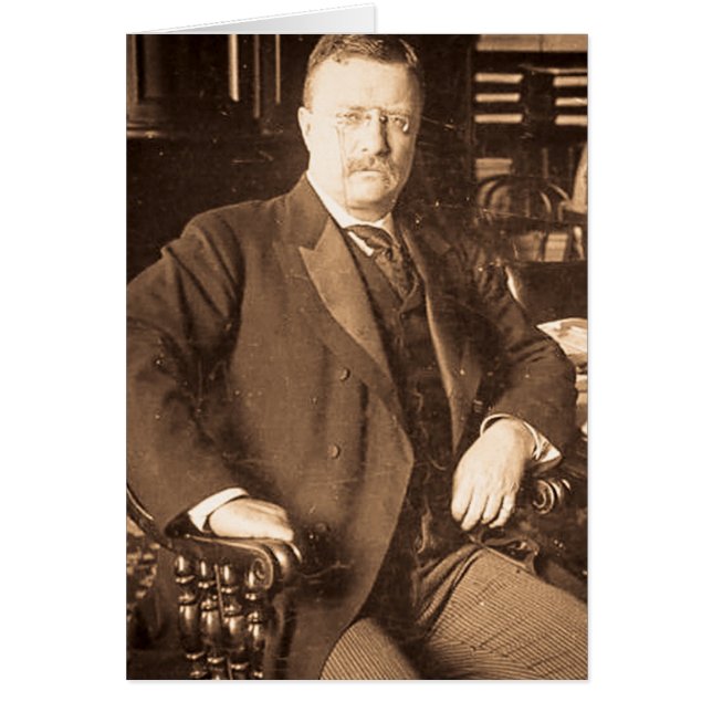 Das Vintage Porträt Stier-Elch-Teddy Roosevelt (Vorne)