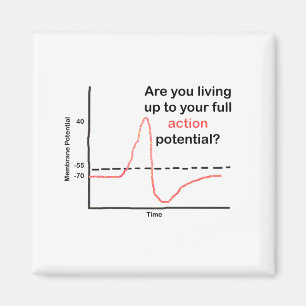 Das volle Potenzial ausschöpfen Magnet