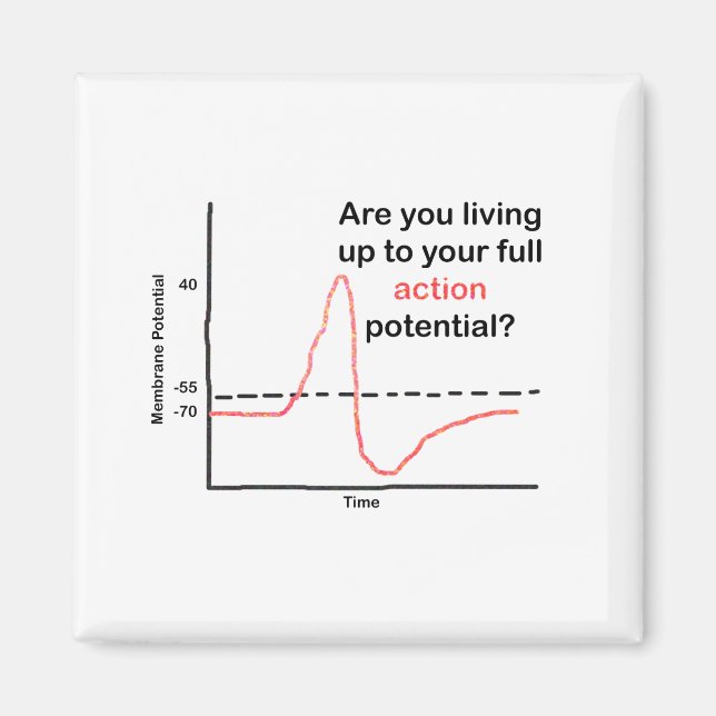 Das volle Potenzial ausschöpfen Magnet (Vorne)