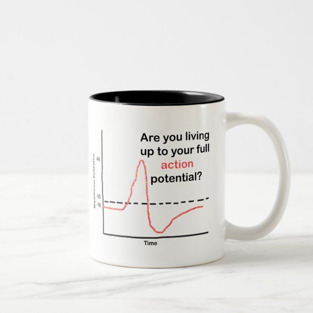 Das volle Potenzial ausschöpfen Zweifarbige Tasse (Rechts)