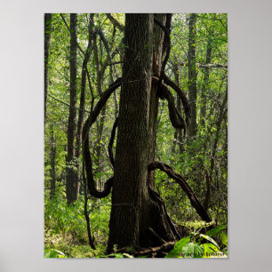 Das Waldposter Poster
