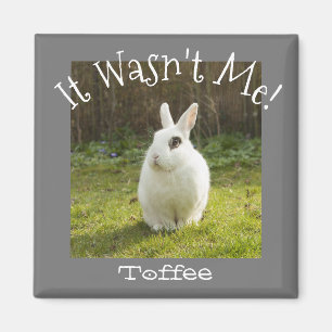 Das war nicht ich! Custom Pet Foto Hund Bunny Cat  Magnet