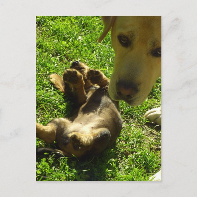 Das war nicht ich postkarte (Vorderseite)