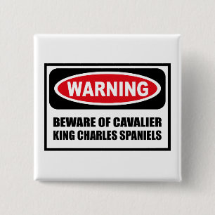 Das Warnen PASSEN VON UNBEKÜMMERTEN SPANIELS B Button