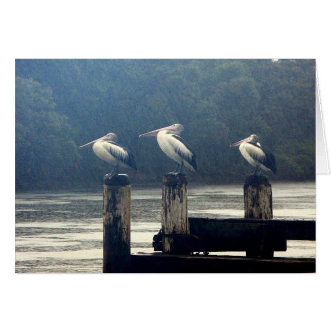 das Warten (Vorderseite (Horizontal))