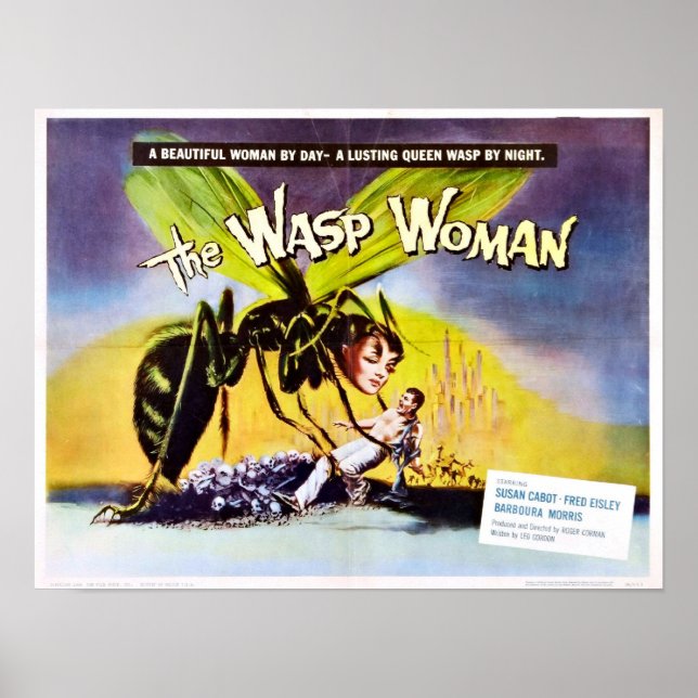 Das Waschweibchen-Poster Poster (Vorne)