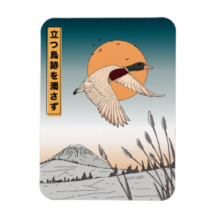 Das Wasser bleibt ruhig nachdem ein Vogel in die L Magnet