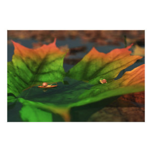 Das Wasser ist breit gefächert und Foto gedruckt