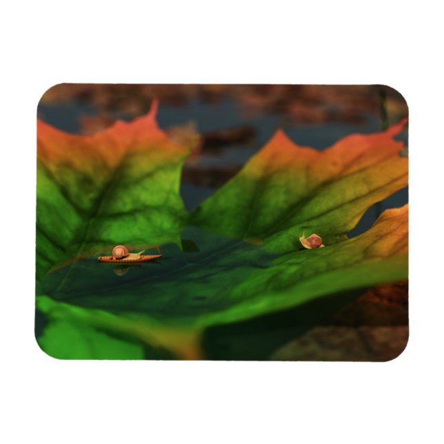 Das Wasser ist breit und flexibel Magnet (Horizontal)