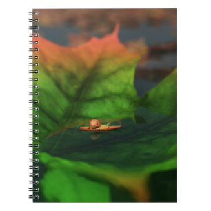 Das Wasser ist ein großes Notebook Notizblock