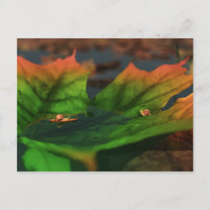 Das Wasser ist eine große Postkarte