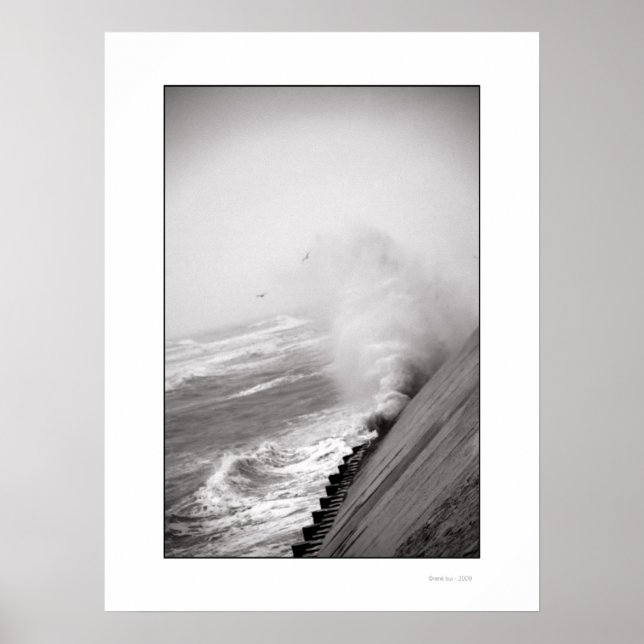 Das WAVE-Poster Poster (Vorne)