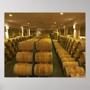 Das Weingut, Fassreifekeller - Chateau Baron Poster
