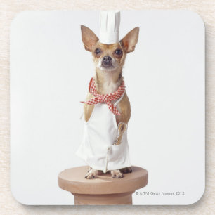 Das Weiß des Chihuahuahundetragenden Koch, Getränkeuntersetzer
