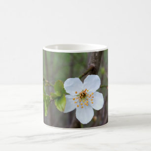 Das Weiß des Frühlings Kaffeetasse