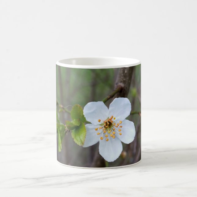 Das Weiß des Frühlings Kaffeetasse (Mittel)