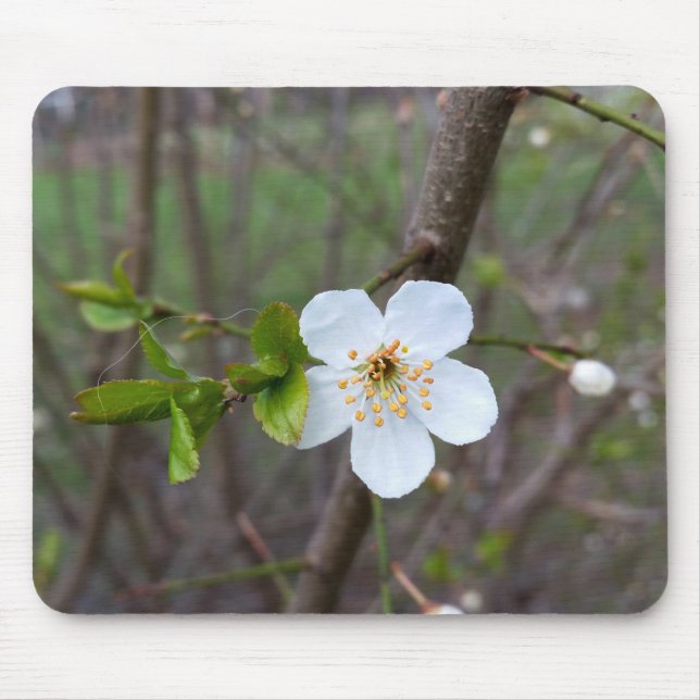 Das Weiß des Frühlings Mousepad (Vorne)