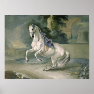 Das weiße "Leal" levade en des Stallion, 1721 Poster