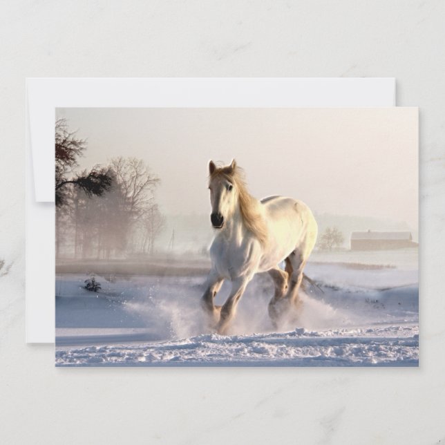 Das weiße Pferd galoppiert durch den Winterschnee (Vorderseite)