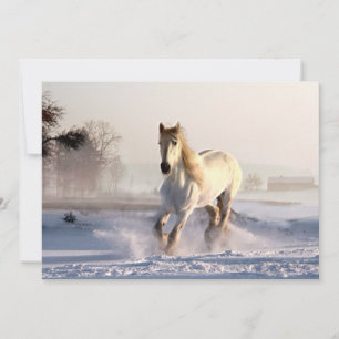 Das weiße Pferd galoppiert durch den Winterschnee
