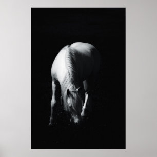 Das weiße Pferd Poster