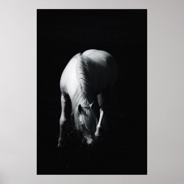 Das weiße Pferd Poster (Vorne)