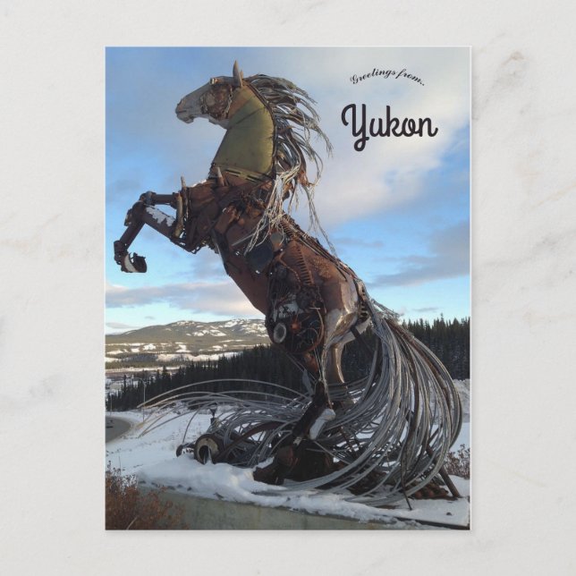 Das Whitehorse Pferd in Whitehorse Yukon Kanada Postkarte (Vorderseite)