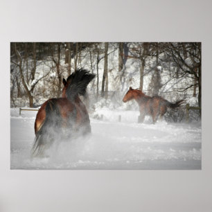 Das Winter-Verfolgungs-Pferdeplakat Poster