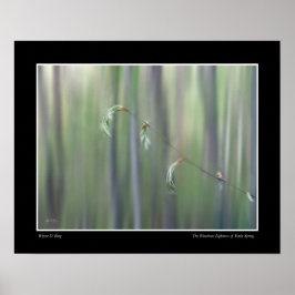 Das Wondrous Lightness of Early Spring - Poster