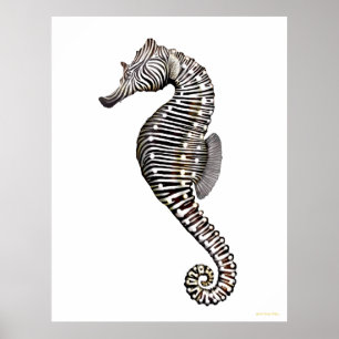 Das zebra-Seepferd-Kunst-Plakat Poster