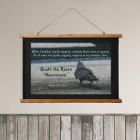 Das Zitat von Raven Edgar Allen Poe