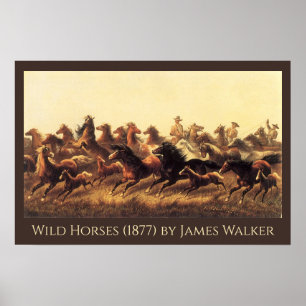 Das Zureiten wilder Pferde von James Walker Poster