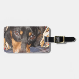 Daschund Weener Hundegesicht Gepäckanhänger