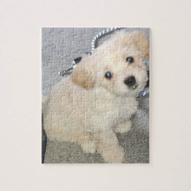 Dash-Rätsel 01 (Vertikal)