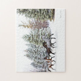 Dashing Through the Snow - Drei Pferde