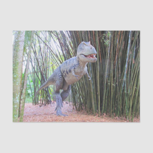 Daspletosaur - Dinosaurier-Tissue Seidenpapier (Vorderseite)
