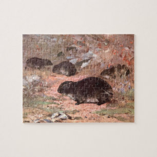 Dassie-Ratten von CE Swan, Vintage Wilde Tier-Ratt