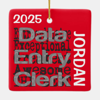 Data Entry Clerk Extraordinaire CUSTOM Keramikornament