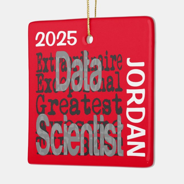 Data Scientist Extraordinaire CUSTOM Keramikornament (Links)