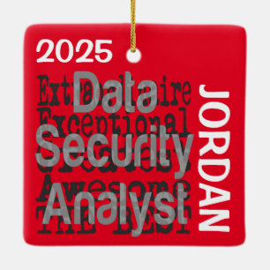 Data Security Analyst Extraordinaire CUSTOM Keramikornament