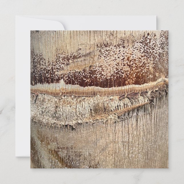 Date Palm Tree Trunk Texture Closeup Foto Image Karte (Vorderseite)