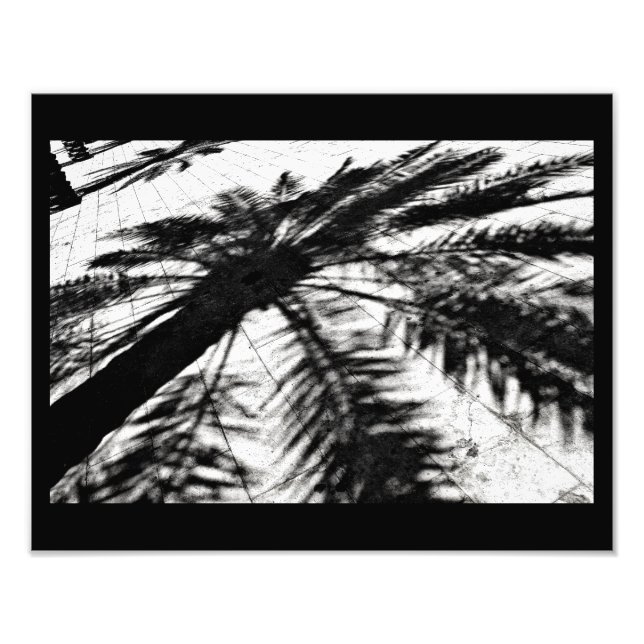 Date Tree Shadow Fotodruck (Vorne)