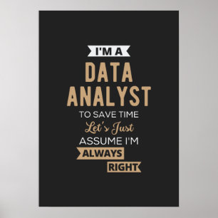 Datenanalyst Poster