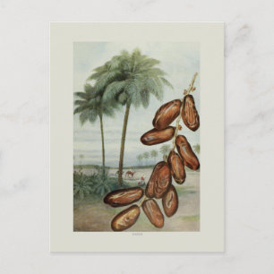 Dates Postkarte