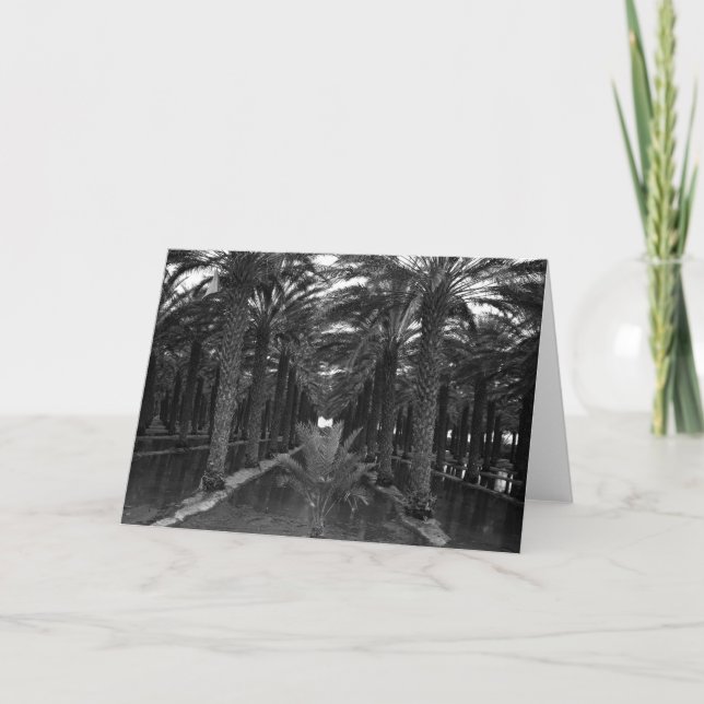 Dattelpalme-Waldung während Irrigation, 1966 Karte (Vorderseite)